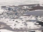 This May 24, 2006, file photo shows the village of Newtok, Alaska, where the eroding bank along the Ninglick River has long been a problem for the village, 480 miles west of Anchorage.