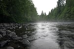 Oregon's Molalla River, a tributary of the Willamette.