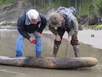 Marine archaeologist James Delgado, left, and beachcomber Craig Andes, right, examine one of the larger shipwreck timbers removed from the sea caves. Andes discovered the timbers.