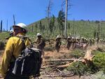 A hand crew moves to a new section of line on the south flank of the Ana Fire near Summer Lake, Oregon, on Wednesday, July 12, 2017.