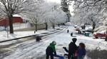 Children take to a snowy street next to Northeast Portland's Sabin School on a snow day, Feb. 21, 2018.