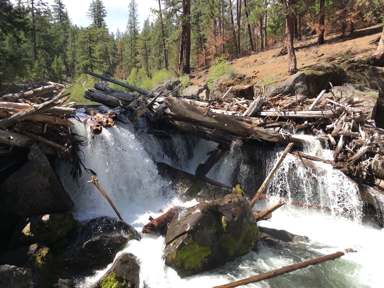 Whychus Creek, renamed in 2006, was previously one of several locations in Oregon named after a slur used against Indigenous women. House Bill 3532 aims to speed the process of removing offensive titles from remaining sites.