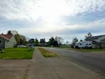 After removal: State agencies coordinated to take out dozens of trees from this street in Forest Grove this week to slow the spread of the invasive emerald ash borer beetle.