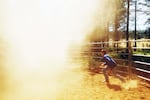 Avan Garcia moves around the corral with about a dozen newly caught wild horses on the Warm Springs Reservation on June 22, 2019. 