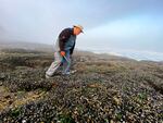 A man wearing waterproof overalls and holding a small pry bar walks across rocks covered in mussels.