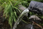 Clean water gushes out of a piped spring near the Warm Springs Reservation on June 7. 2019. Many tribal members rely on Rattlesnake Spring for drinking water, rather than using the taps.