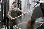 Brewer Scott Peterson retrieves spent grain from a lauterton while brewing a German-style Pilsner at Von Ebert Brewing in Portland, Ore., Sunday, Oct. 22, 2023. The craft brewery have had hops they depend upon from Europe impacted by hot, dry summers over the last couple of years. That’s why some researchers are working on varieties of hops that can better withstand summer heat.