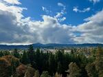 FILE - Eugene as seen from Skinner Butte on Oct. 21, 2024