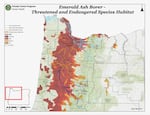 Ash trees are vital to keeping streams and rivers shaded, and healthy for fish and other species. The map shows areas most likely to be impacted by the Emerald Ash Borer.