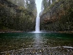 Abiqua Falls pours into a pristine bond outside Scotts Mills, Ore., in February 2026. Oregon lawmakers are trying to acquire the waterfall and the land surrounding it.