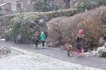 Snow began to fall along Willamette Park in Southwest Portland, Tuesday, Feb. 20, 2018.