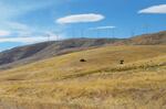 Wind turbines in south-central Washington in an undated photo. Known for agriculture, the area has become a hotbed for clean energy projects and interest in building data centers is also rising.