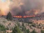 The Durkee Fire burns on July 17, 2024. Fires in Oregon are affecting sagebrush.