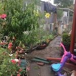 A garden in the Arbor manufactured home park.