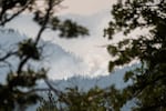 FILE - The Grasshopper Fire burns in the mountains west of Friend, Ore., on Aug 3, 2026.