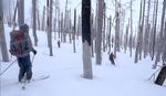 Andre, Jennifer and friends ski after "earning their turns."