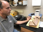 John Bailey in his lab at Oregon State University.