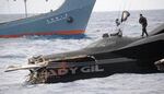 The Ady Gill after collision with a Japanese whaling ship.
