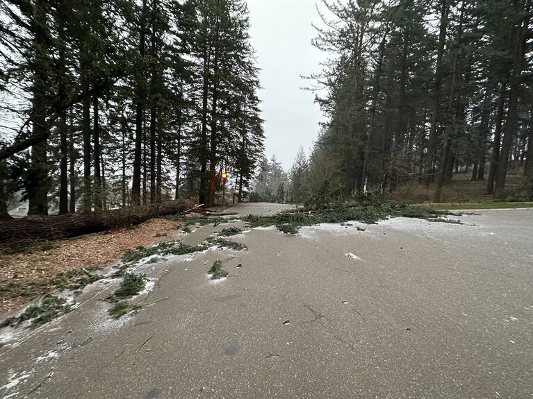 Does it snow in Oregon? - The Clever West Wind