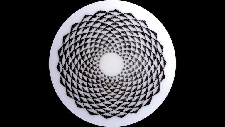 Artist Sarah Hatton has created a series of works using thousands of dead bees displayed in spirals symbolic of agriculture. She wants to bring attention to bees' decline due to pesticide use.
