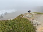 Schoolhouse Beach is an escape from the heat elsewhere.