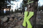 A memorial marks a tree in the COCC parking lot where Kaylee Sawyer was murdered in 2016. 