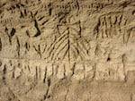 In this undated image, several petroglyphs are displayed on an ancient cliff at Petroglyph Point in Northern California.