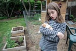 Sadie Stephens plays with her guinea pig in the backyard of their house in north Portland.