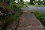 Orange paint warns pedestrian of uneven pavement on Southeast Schiller Street and Southeast 72nd Avenue in Portland, Ore. on April 23, 2026.