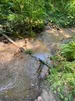 Heavy water churns through a creek bed.