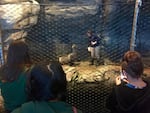 Visitors to Chicago's Shedd Aquarium watch a sea lion and his trainer.