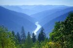 The Rogue River in southwestern Oregon.