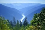 The Rogue River in southwestern Oregon.