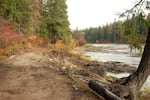 A road in a floodplain within the Okanogan-Wenatchee National Forest in north-central Washington. It was later decommissioned. Click through this slideshow  for "before and after" images of roads that were rebuilt to keep sediment from polluting streams.