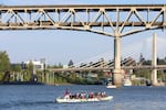 The Rose City Rockets dragon boat team trains on the Willamette River on Thursday, August 20, 2026, in Portland, Ore.