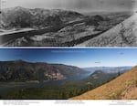 A comparison of the Columbia Gorge forests in 1933 and 2015, as seen from Dog Mountain.