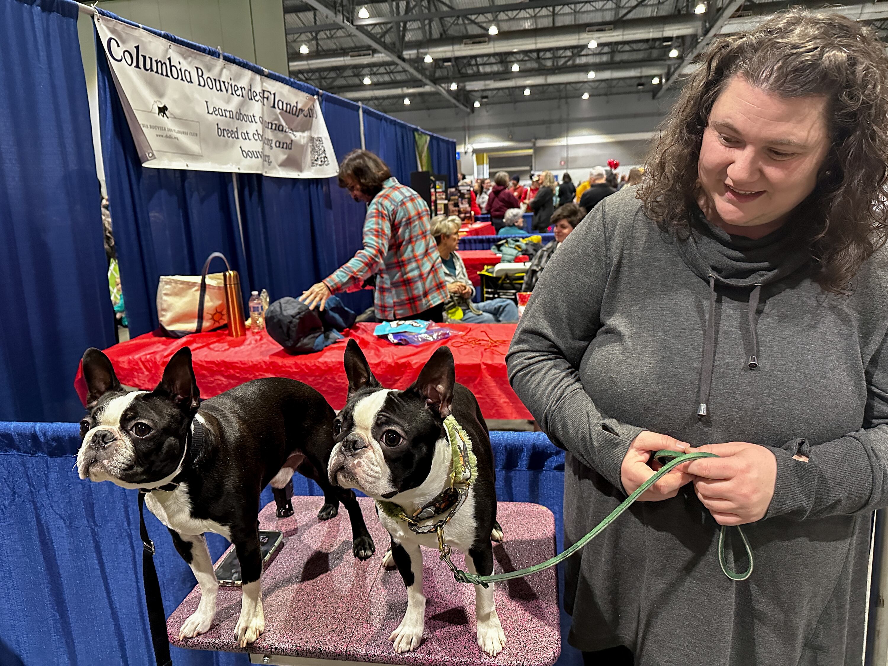 Katharine Head posing with a pair of Boston Terriers at the