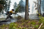 When U.S. Forest Service firefighters aren't actively fighting fires in the Pacific Northwest, they're often dispatched elsewhere to help.  In this file photo from 2021, a firefighter sprays a hot spot with water on the Granite Pass Complex in Montana.