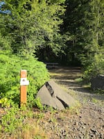 A campsite sits empty at Browns Camp in this undated provided photo. The Oregon Department of Forestry says the campground is especially popular on holiday weekends.