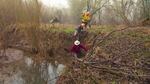 Professional timber crews plant more than 20,000 shrubs and trees in one day on a farm along Gals Creek.