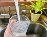 The Environmental Working Group has mapped PFAS contamination of drinking water or ground water in almost 1,400 sites in 49 states. EWG’s analysis of unpublished EPA data estimates that water supplies for 110 million Americans may be contaminated with PFAS.