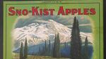 A drawing of a mountain landscape on a green background. Red lettering above the image reads, "Sno-Kist Apples." Lettering below reads "Yakima Valley Fruit Growers Association." In smaller text below that, "North Yakima, Washington, U.S.A."