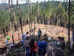 A group of foresters, conservationists and local landowners toured the Buck Rising site in Southern Oregon to see the effects of a pilot project aimed at increasing timber harvests without doing environmental damage.