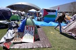 Student protesters demanding university divestment from Israel have set up encampments over the past month at dozens of campuses across the nation, including at MIT in Cambridge, Mass.