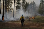 A fire fighter conducts a controlled burn in southern Washington.
