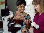 Dr. Shyamala Gopalan in her lab at Lawrence Berkeley National Laboratory where she worked as a biomedical scientist. Her work was focused on hormone receptors in breast-cancer development.