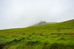 Mist lingers over the rolling hills of Waimea.