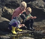 Distinguished Professor Jane Lubchenco of Oregon State University tide-pooling with her grandchildren Elin and Alistair Menge on the central Oregon coast.