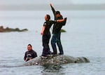 In this May 17, 1999, file photo, two Makah Indian whalers stand atop the carcass of a dead gray whale moments after helping tow it close to shore in the harbor at Neah Bay, Wash. An administrative law judge on Thursday, Sept. 23, 2021, recommended that the Makah be allowed to resume whaling along the coast of Washington state, as their ancestors did. 