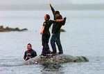 In this May 17, 1999, file photo, two Makah Indian whalers stand atop the carcass of a dead gray whale moments after helping tow it close to shore in the harbor at Neah Bay, Wash. An administrative law judge on Thursday, Sept. 23, 2021, recommended that the Makah be allowed to resume whaling along the coast of Washington state, as their ancestors did.